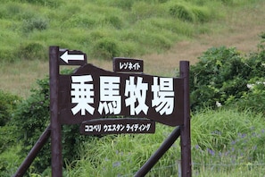 Cưỡi ngựa