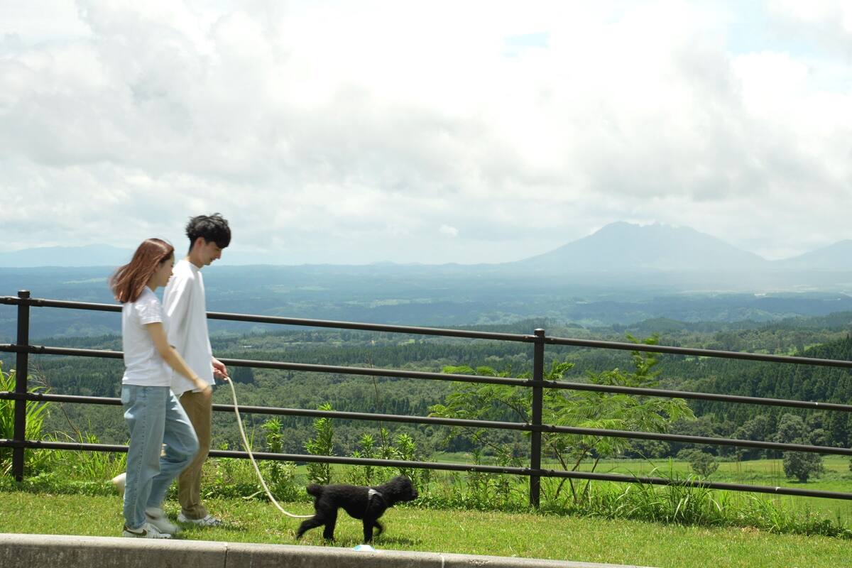A couple walking a dog on a grassy overlook with a mountain in the background.