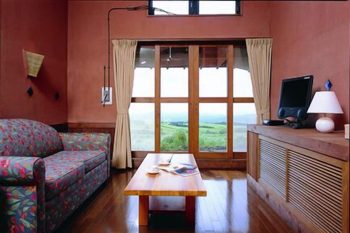 A room with a sofa, a table, a television, and a window with curtains.