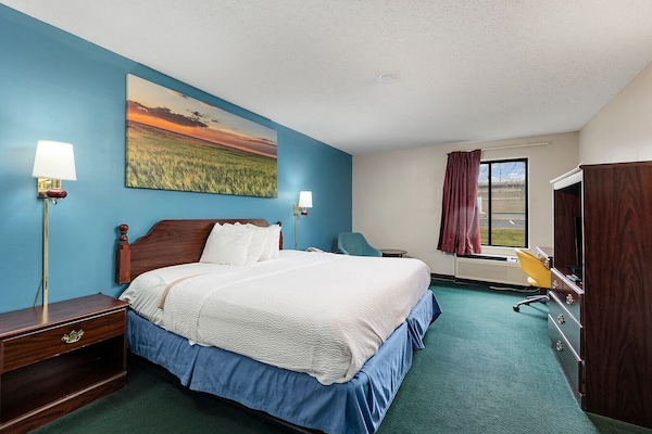 Room, 1 King Bed, Non Smoking, Refrigerator & Microwave