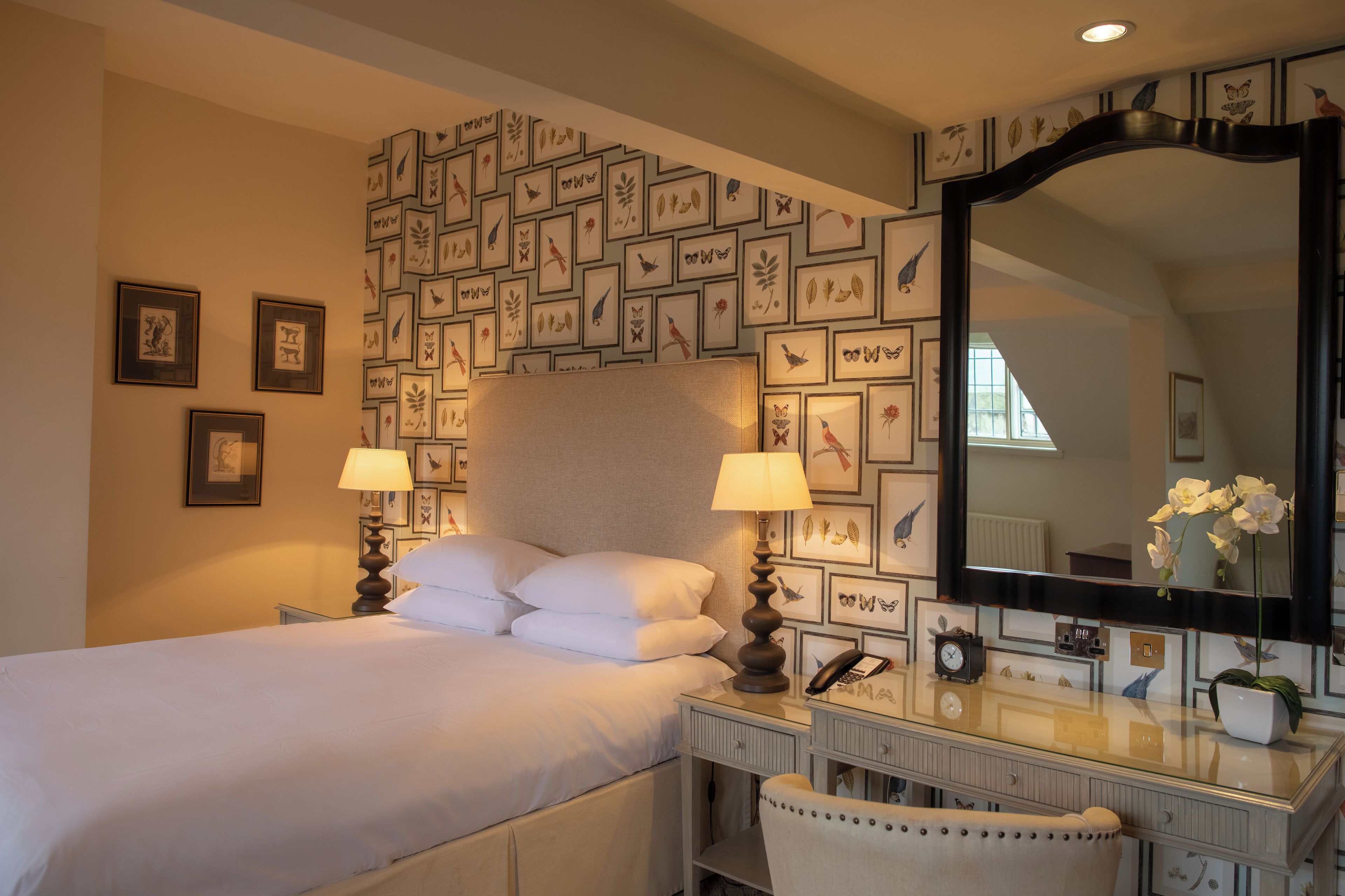 Superior-Zimmer (Old Hall)