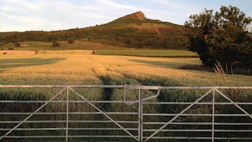 Paisaje rural con una verja, campos y una colina al fondo.