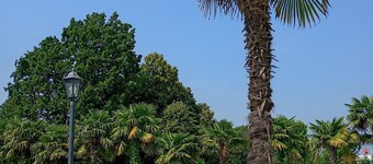 Villa Pace Park Hotel Bolognese