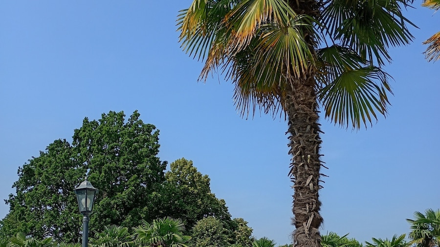 Villa Pace Park Hotel Bolognese