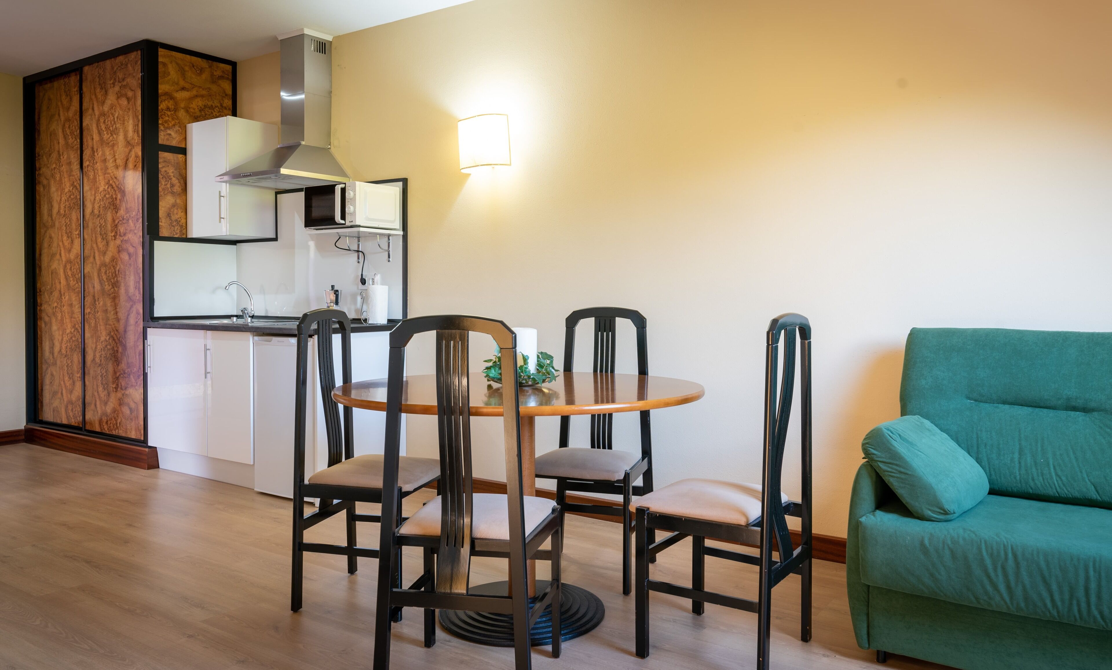 basic apartment | private kitchenette