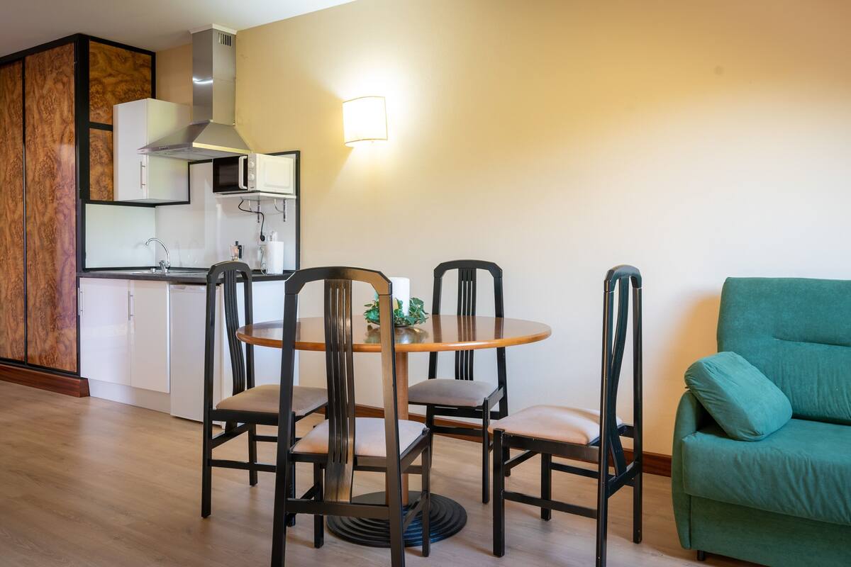 basic apartment | private kitchenette