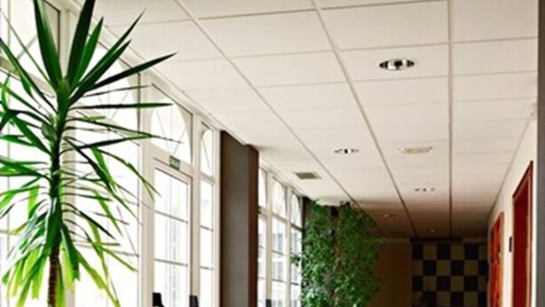 A hallway with wooden flooring, large windows, and potted plants. - Hotel Castro (Santiago de Compostela)