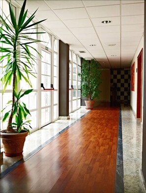 A hallway with wooden flooring, large windows, and potted plants. - Hotel Castro (Santiago de Compostela)