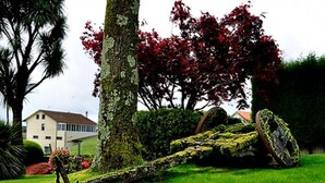 A tree with a large fallen log in a grassy area, a building in the background, and a tree with red leaves. - Hotel Castro (Santiago de Compostela)