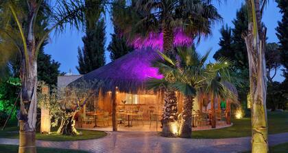 Hotel Isola Sacra Rome Airport