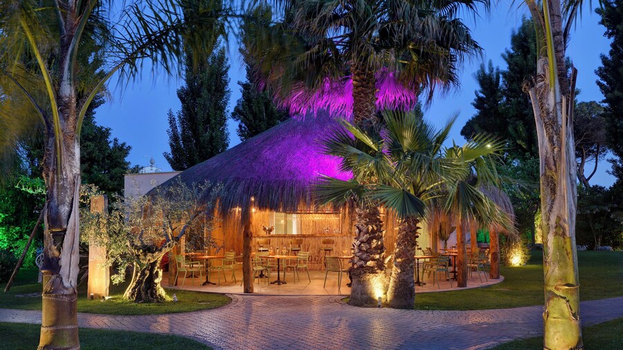 Hotel Isola Sacra Rome Airport