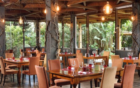 A restaurant with wooden tables and chairs, string lights, and large windows with a view of greenery.