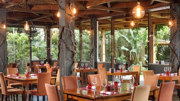 A restaurant with wooden tables and chairs, string lights, and large windows with a view of greenery.