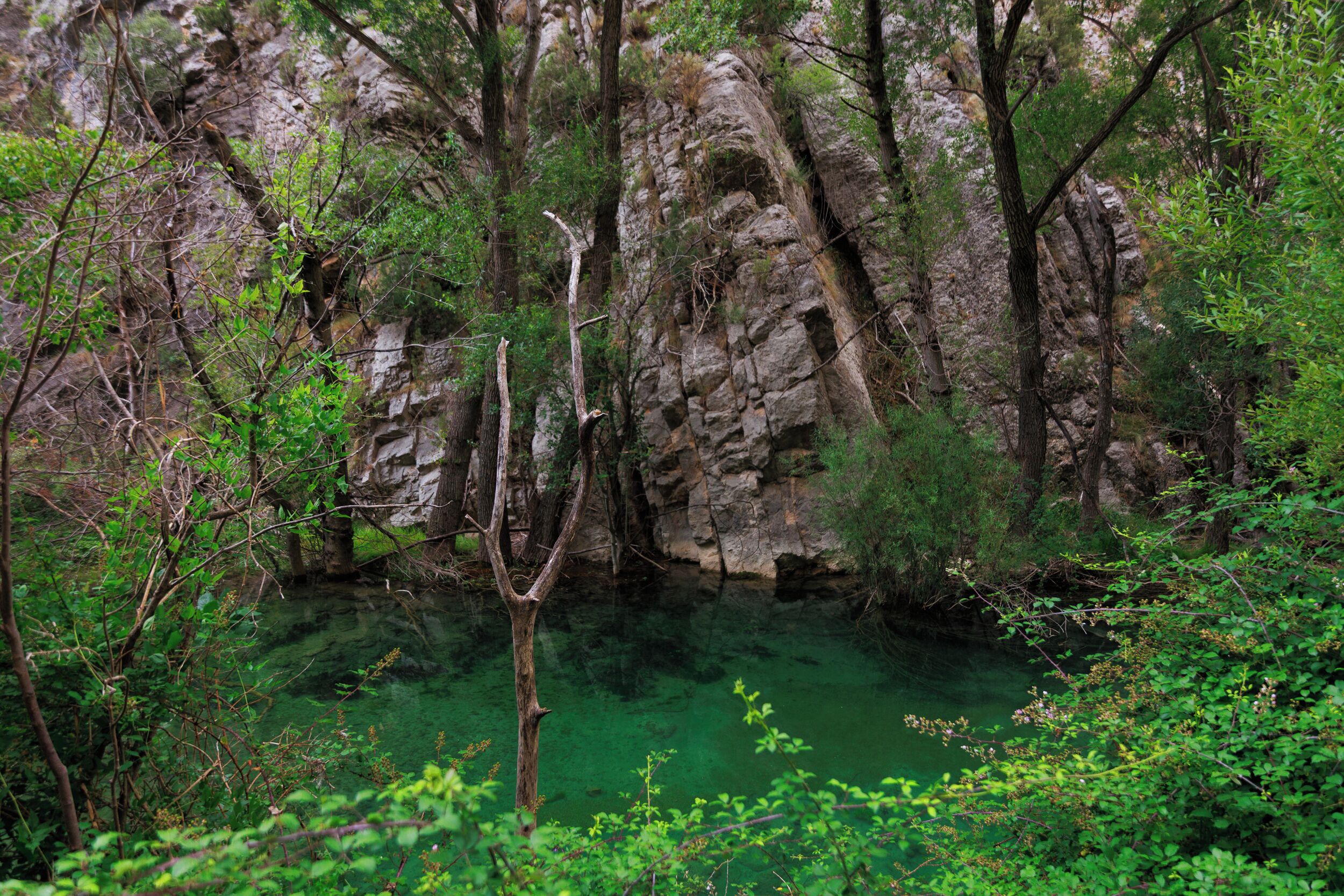 A natural landscape with a rocky cliff and a clear water body surrounded by dense vegetation.