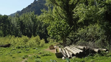 A natural landscape with a path, trees, and a pile of logs.