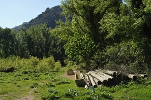 Hiking