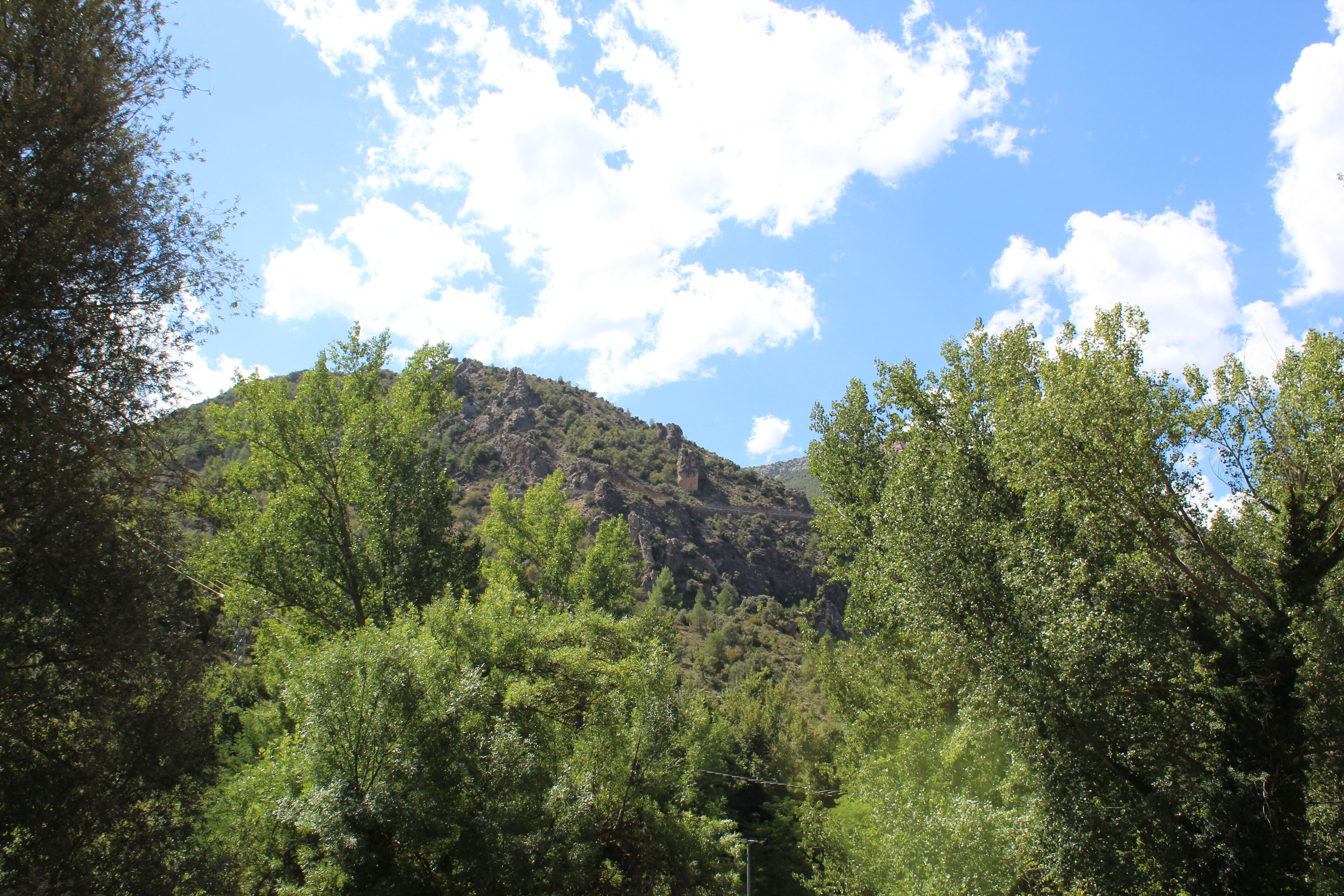 Un paisaje montañoso con abundante vegetación verde y un cielo azul despejado.