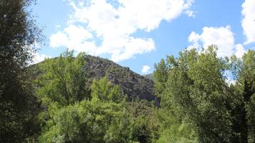 Un paisaje montañoso con abundante vegetación verde y un cielo azul despejado.