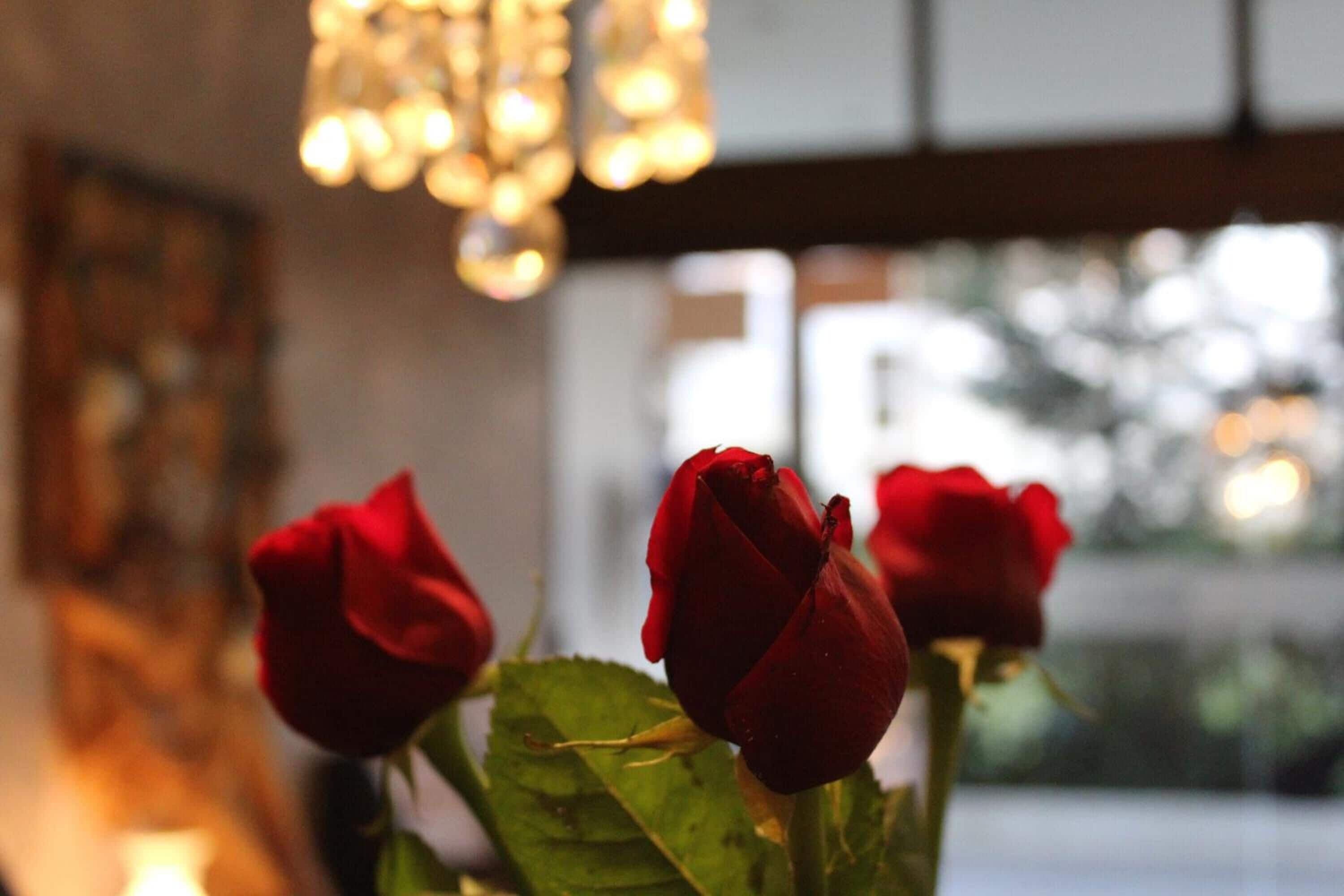 Foto - Hotel Meia Lua