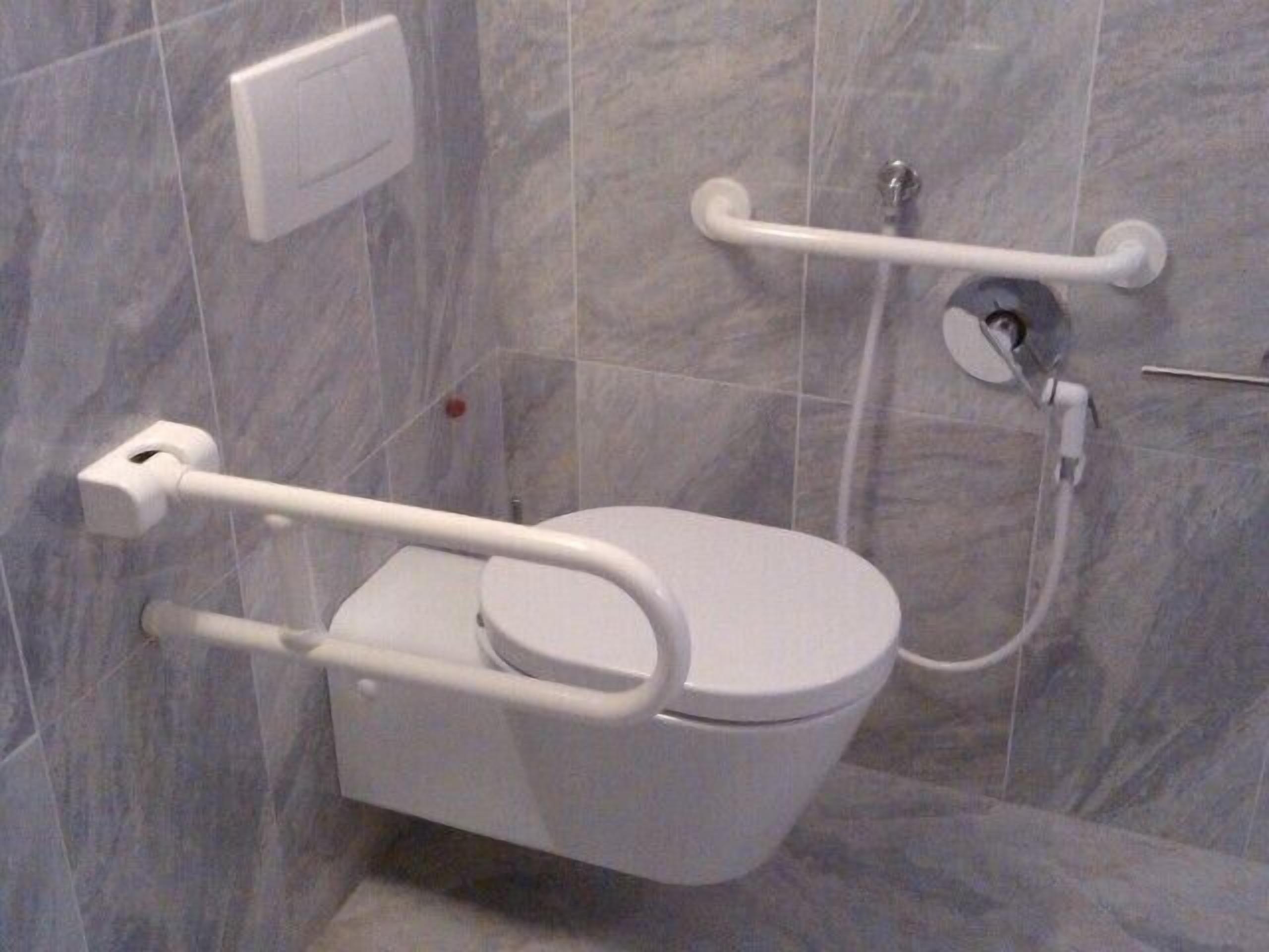 superior double room (disability access) | bathroom | shower, hair dryer, bidet, towels