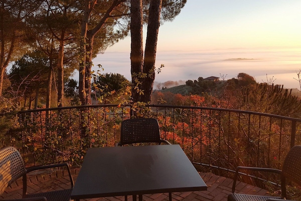 Vista desde la propiedad