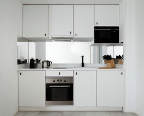 Two-Bedroom Apt - wheelchair accessible | Private kitchen