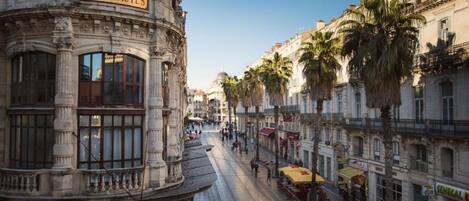 A street with historic buildings, a tram, and palm trees.