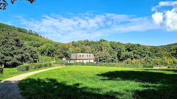 Wandern