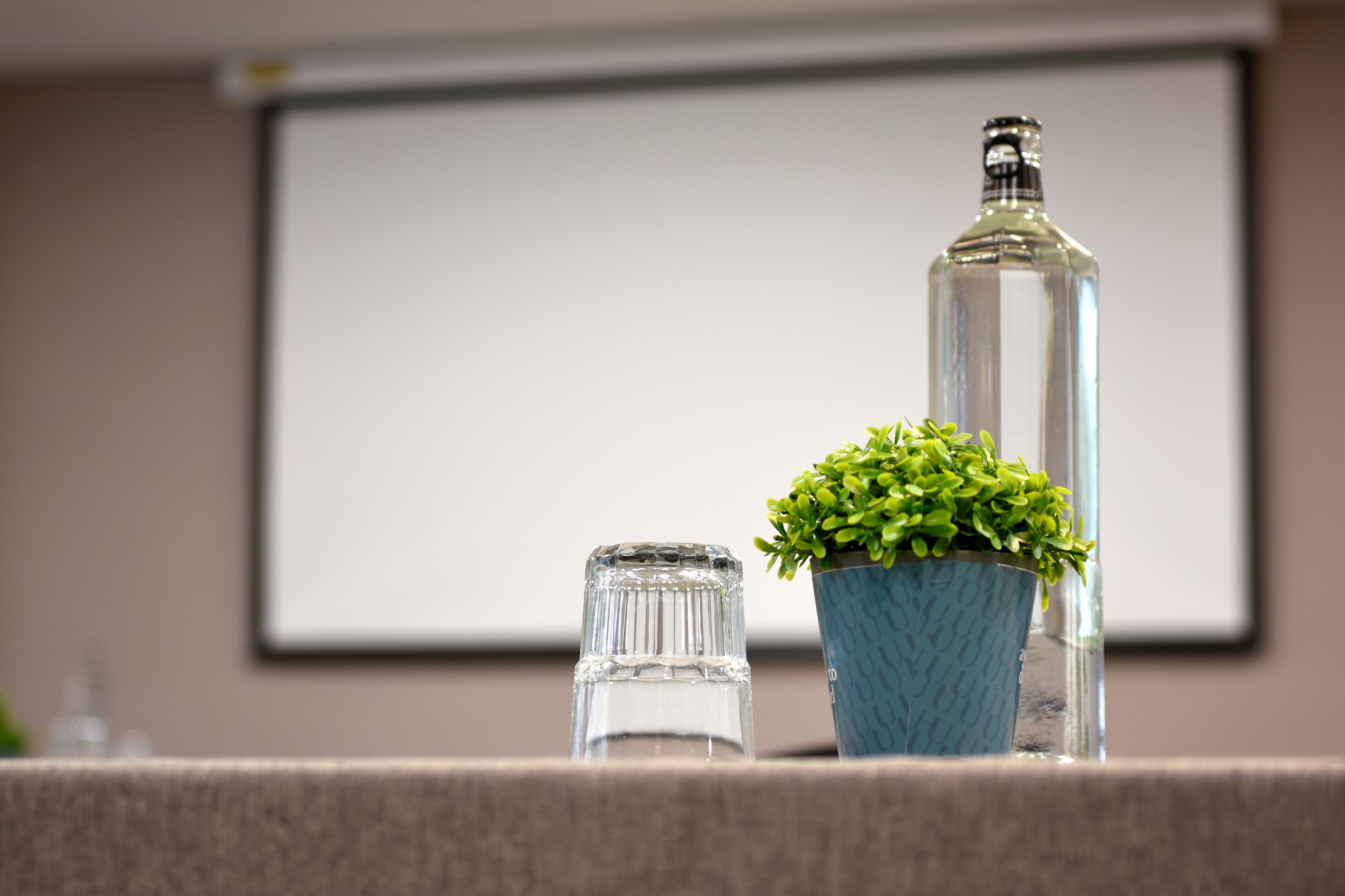 A clear glass bottle and a small potted plant on a counter.