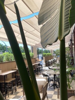 Terras