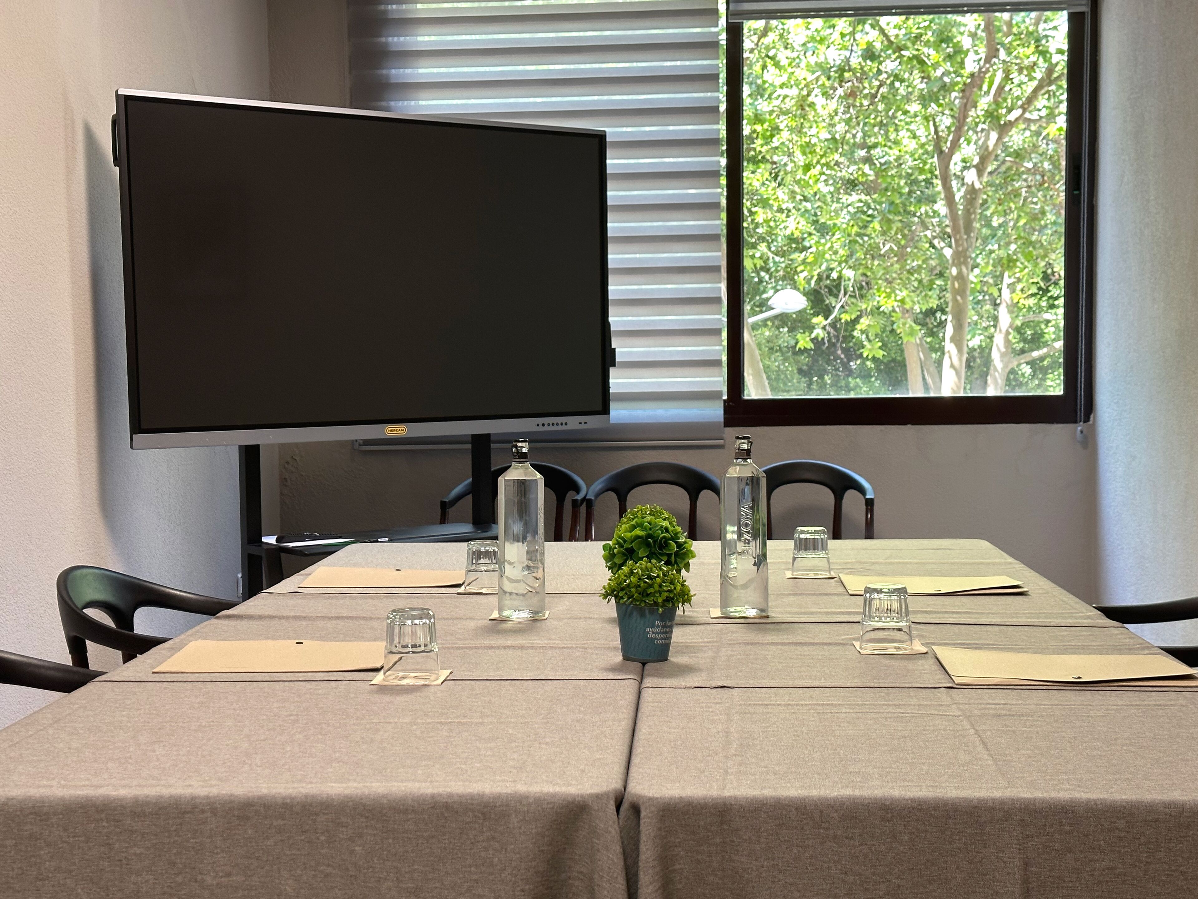Un salón de conferencias con una gran televisión de pantalla plana, una ventana que ofrece vistas a árboles, y una mesa dispuesta con cristalería y una pequeña planta.
