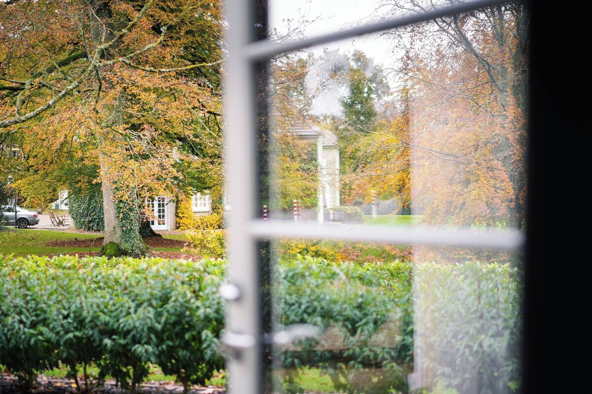 A view through a window of a garden with trees and a white building in the background.
