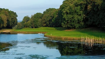 Um campo de golfe tranquilo com um lago, rodeado por árvores densas.