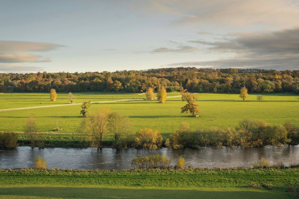 A river with a grassy bank and trees in the foreground.