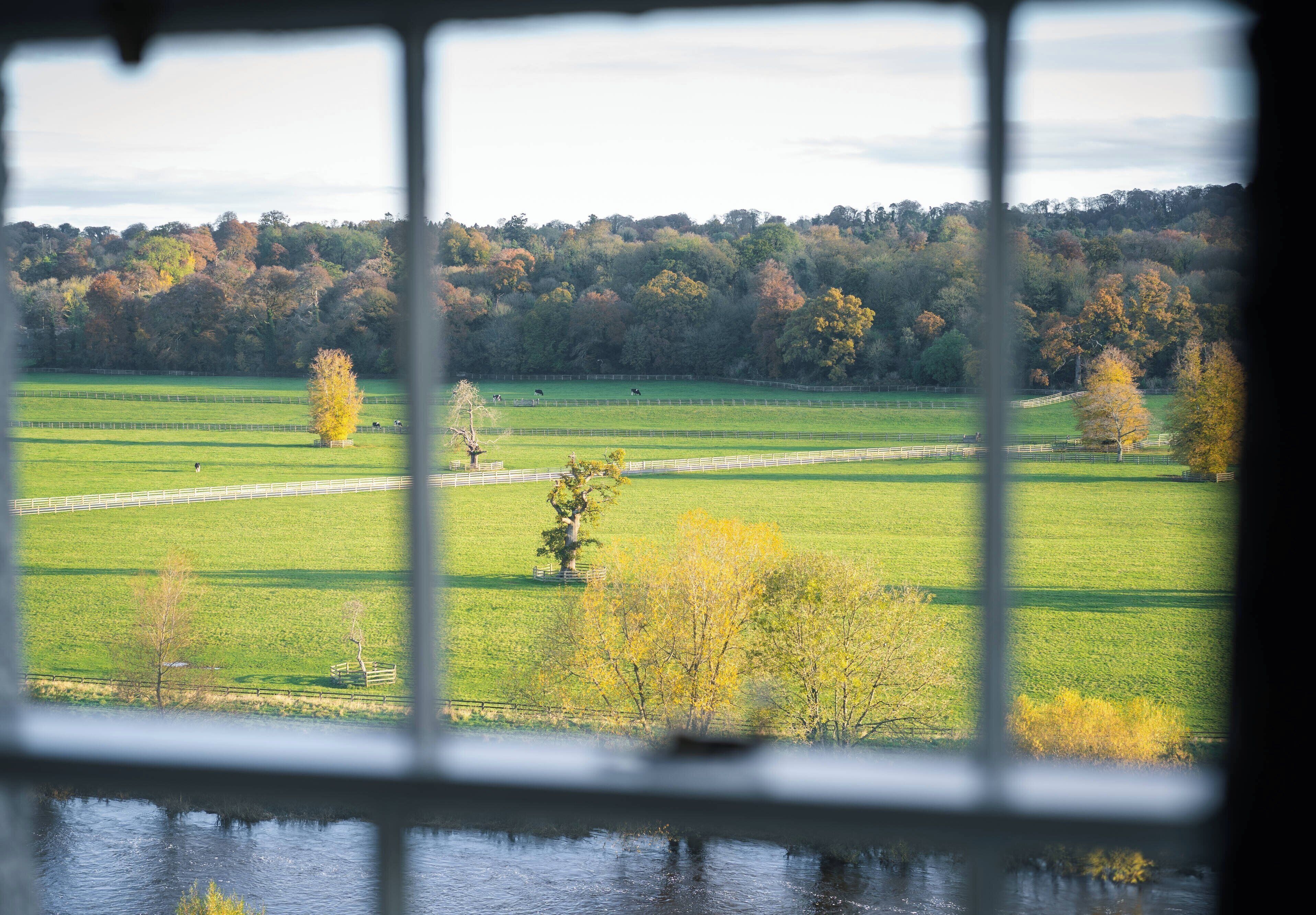 Hypo-allergenic bedding, in-room safe, individually decorated, desk