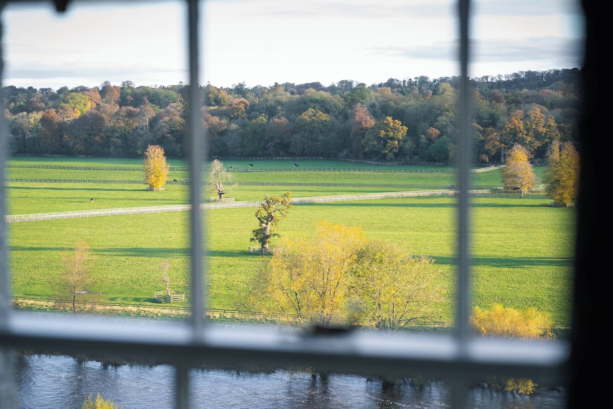 Hypo-allergenic bedding, in-room safe, individually decorated, desk