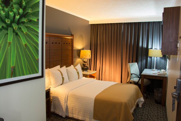 Standard Room | In-room safe, desk, iron/ironing board, free WiFi - Holiday Inn Ciudad De Mexico-Trade Center by IHG (Mexico City)