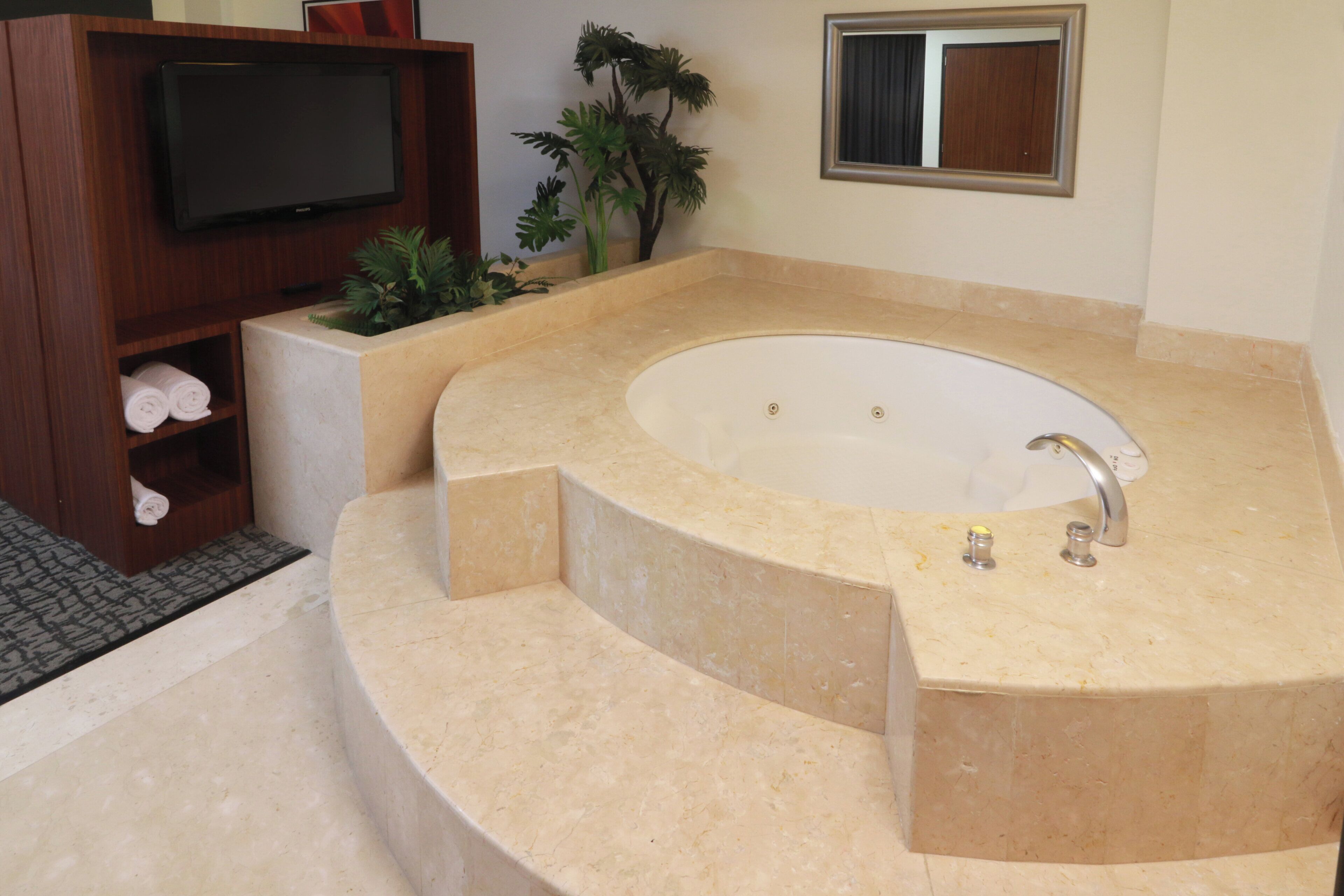 Une salle de bain avec une baignoire sur pieds, un téléviseur posé sur une étagère en bois et une plante en pot.
