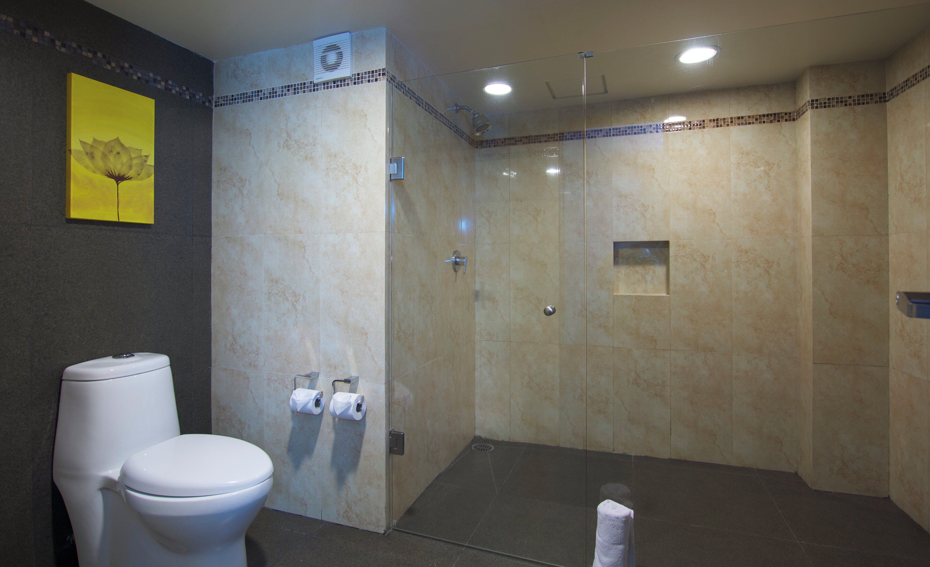 Une salle de bain comprenant des toilettes, un espace douche et un porte-serviettes.