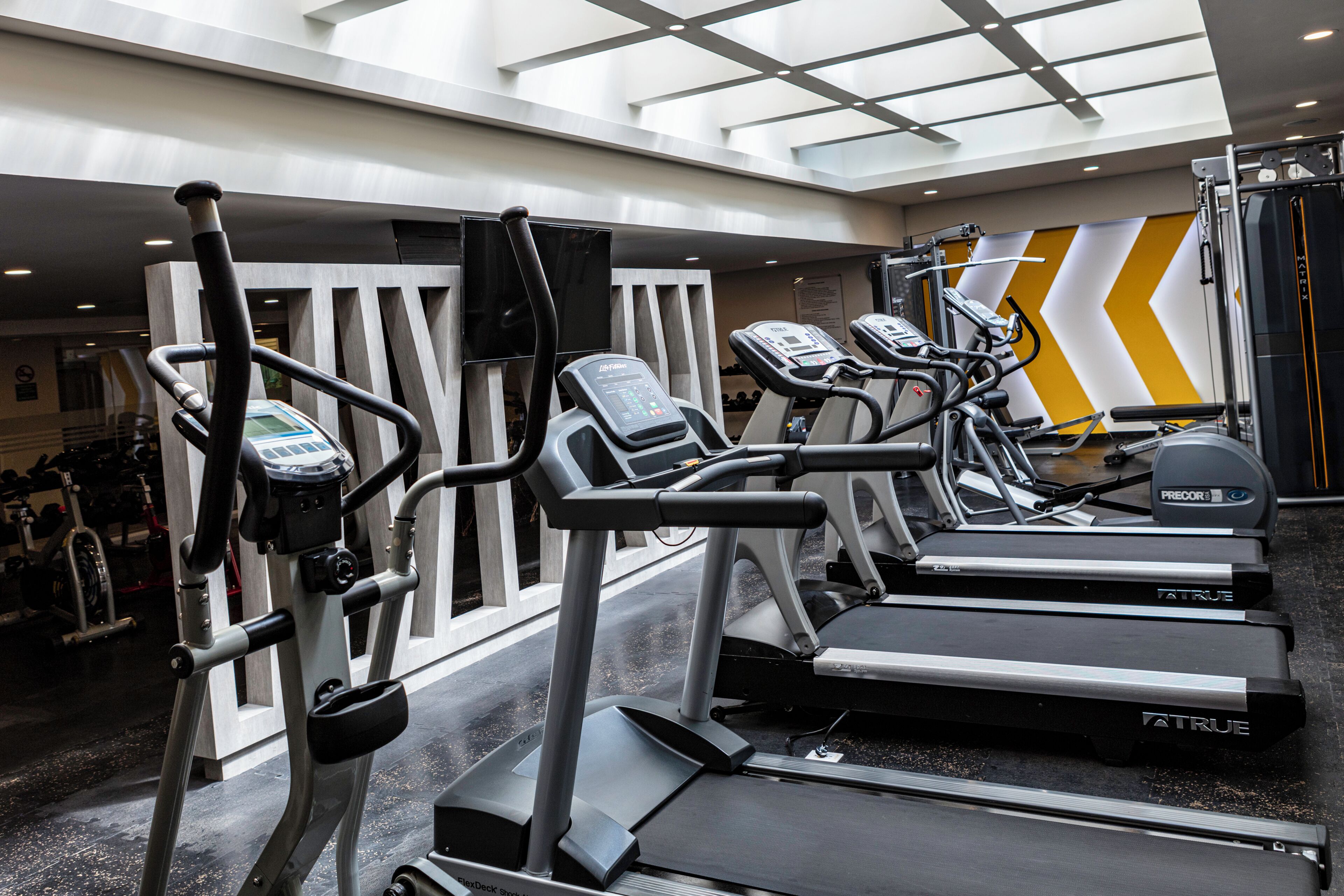 Gimnasio
