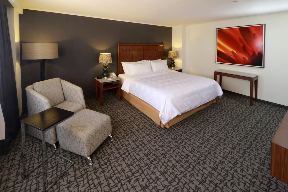 Premium Room, 1 King Bed | In-room safe, desk, iron/ironing board, free WiFi
