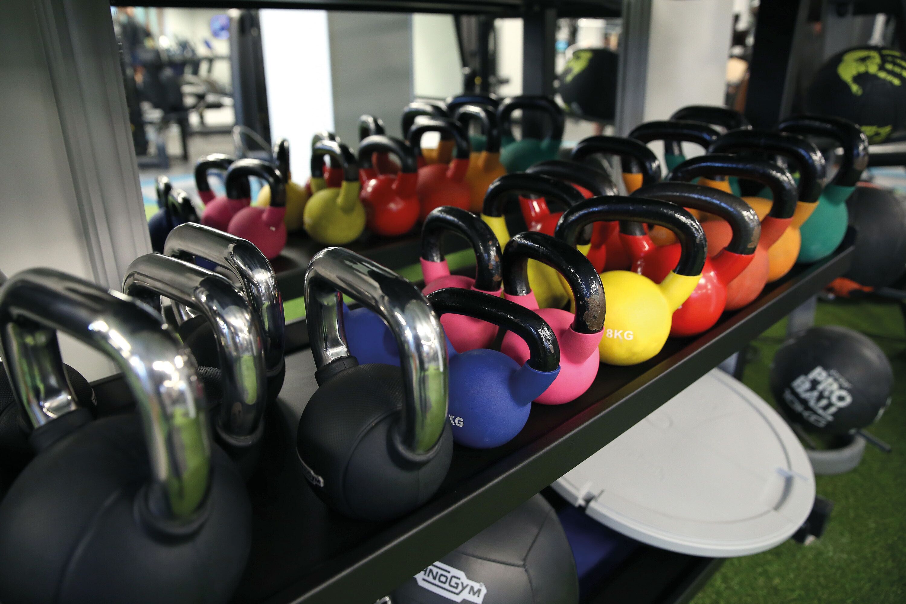 A rack of colorful kettlebells and a weight plate labeled "PRO BALL".
