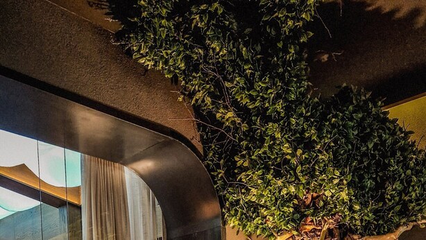 A spa area with a hot tub, a tree, and a lamp. - Hotel Rėja a member of Design Hotels (Klaipeda)