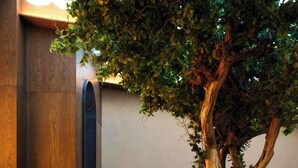A buffet table with various dishes and drinks, a coffee machine, and a tree in the background. - Hotel Rėja a member of Design Hotels (Klaipeda)