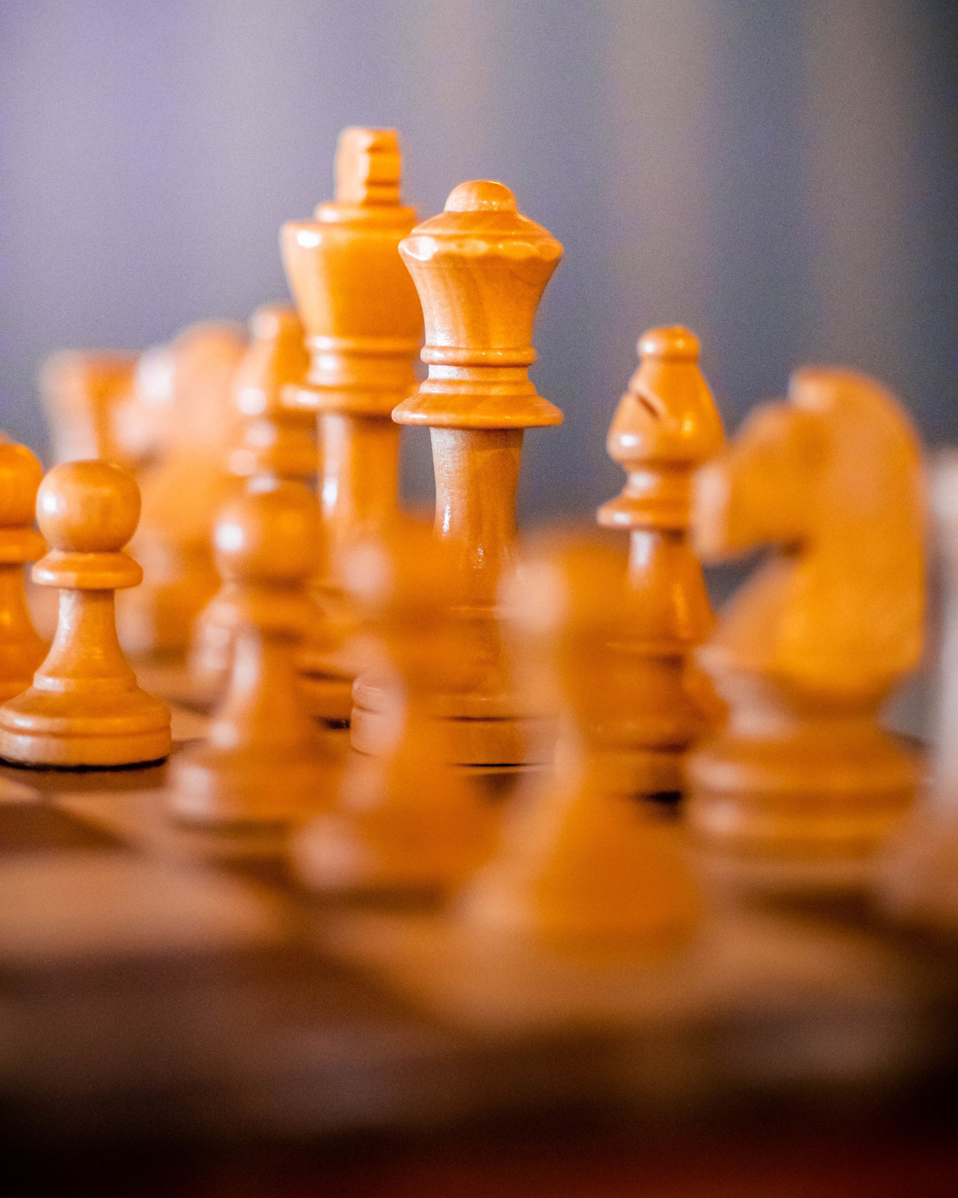 Photo - Hotel Berliner Bär