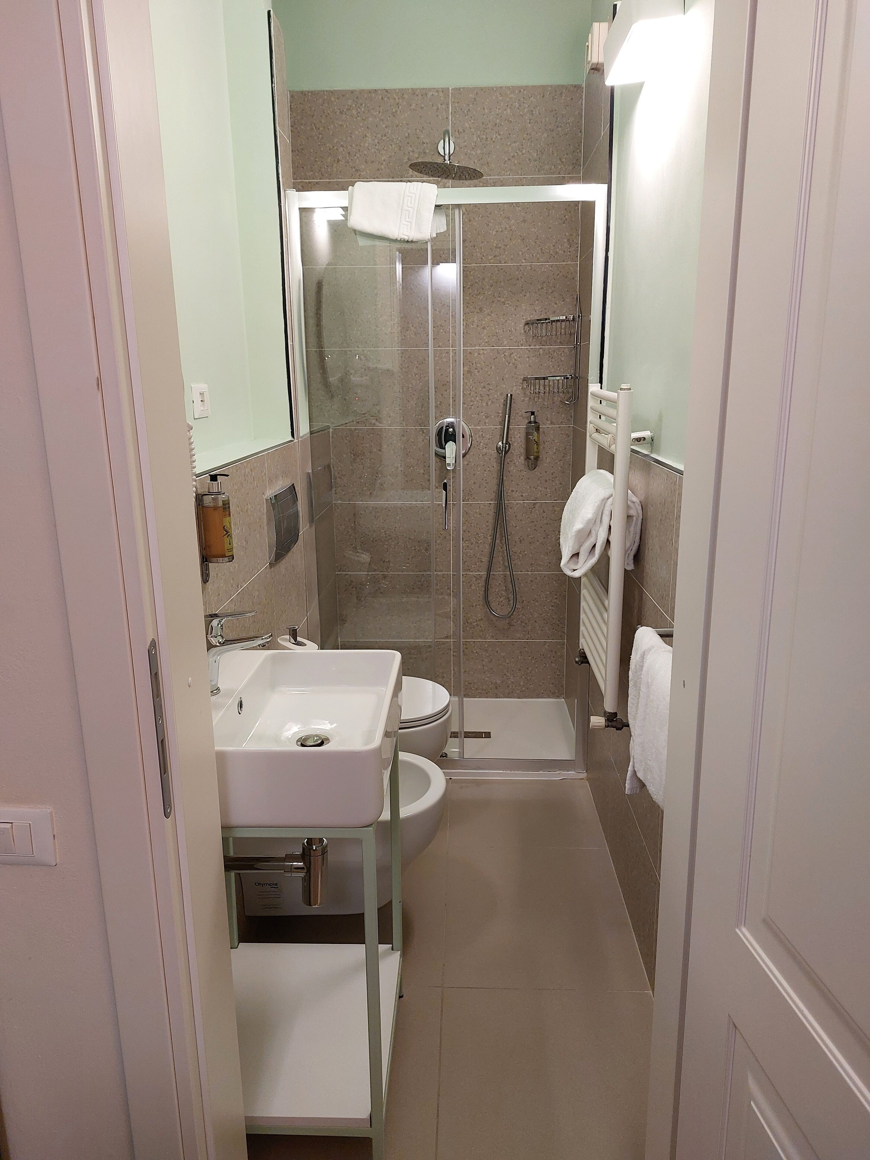 standard single room | bathroom | shower, hair dryer, bidet, towels