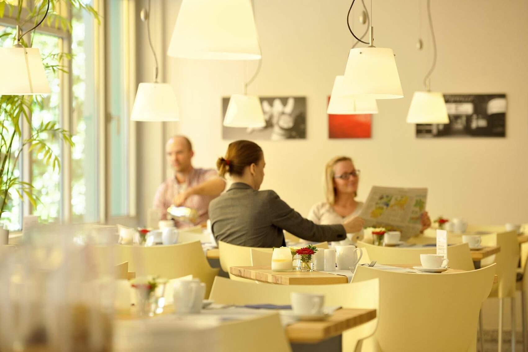 lunch and dinner served