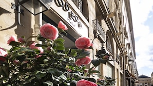 A building facade with a sign, balconies, and a rose bush in the foreground. - Odéon Hôtel  (Paris)