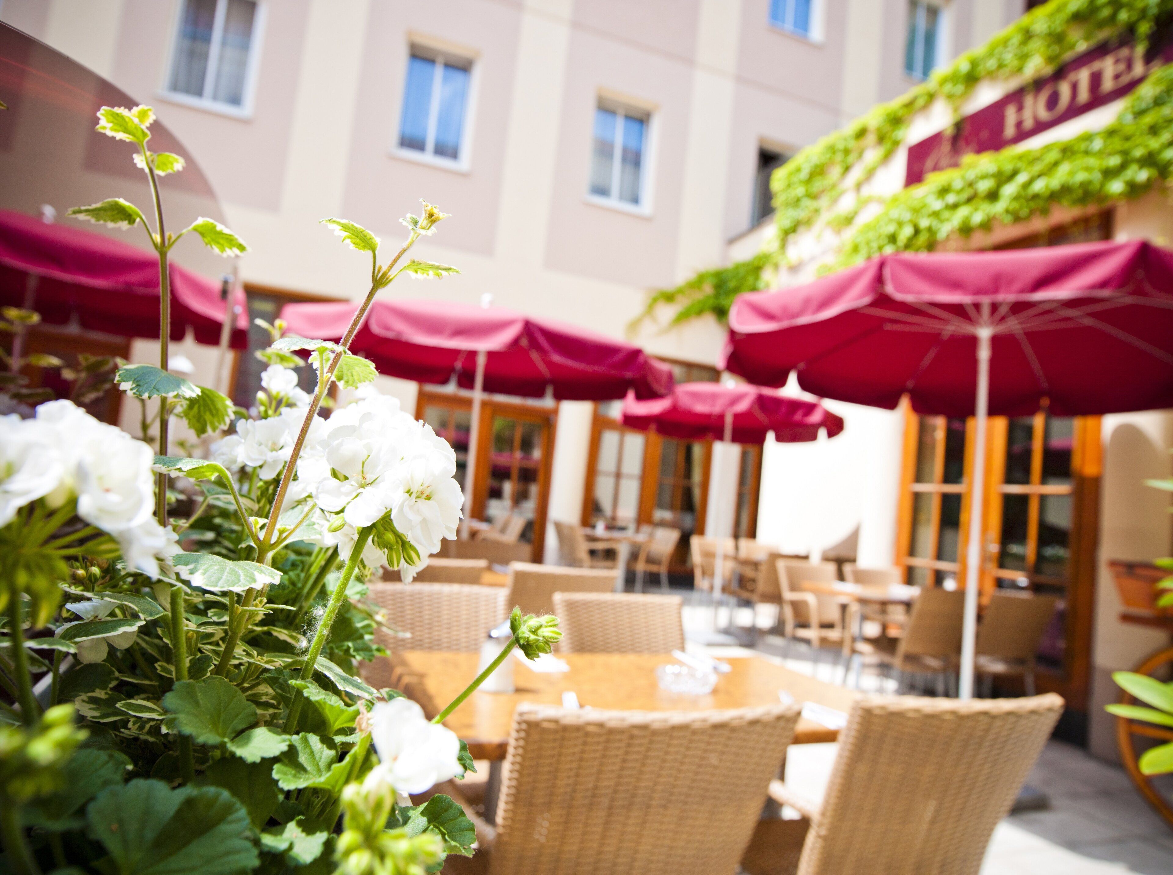 Een terras met rieten stoelen en tafels, rode parasols en een gebouw met een 'HOTEL' bord op de achtergrond.