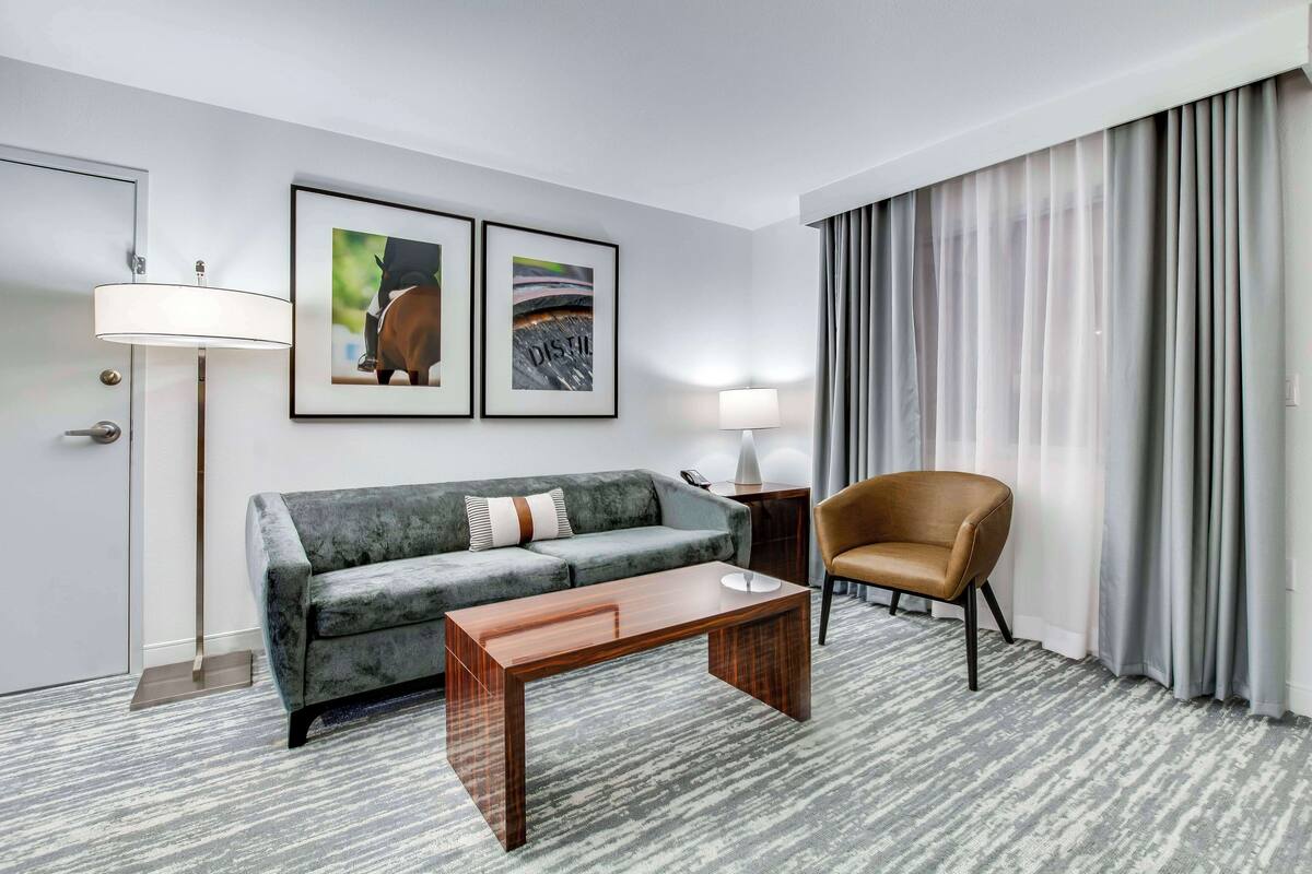 Une chambre d’hôtel moderne avec un canapé gris, une table basse en bois, un fauteuil marron, deux tableaux encadrés au mur, une lampe sur pied et une grande fenêtre avec des rideaux gris.